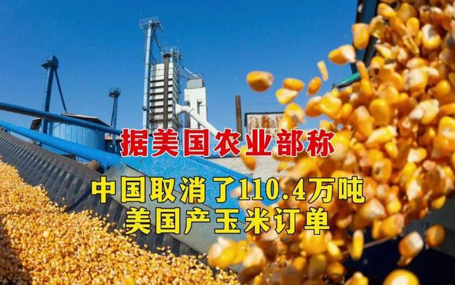 中国取消110.4万吨美国玉米进口订单！玉米供需格局正在发生巨变(图文)